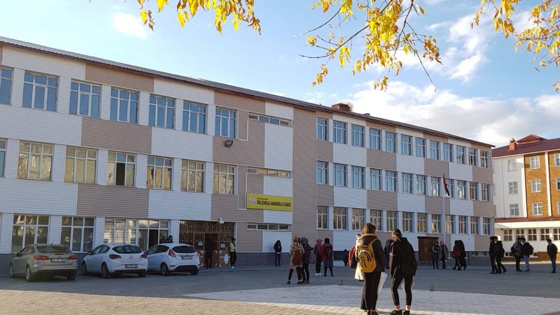 Ahlat Selçuklu Anadolu Lisesi Fotoğrafı